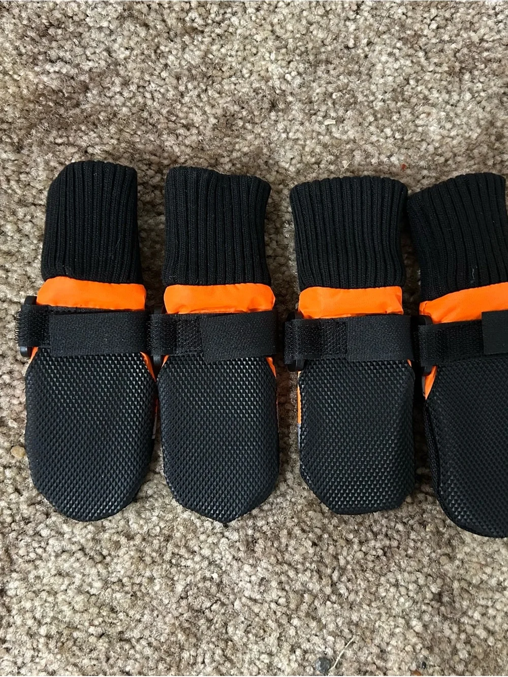 New Dog Boots
